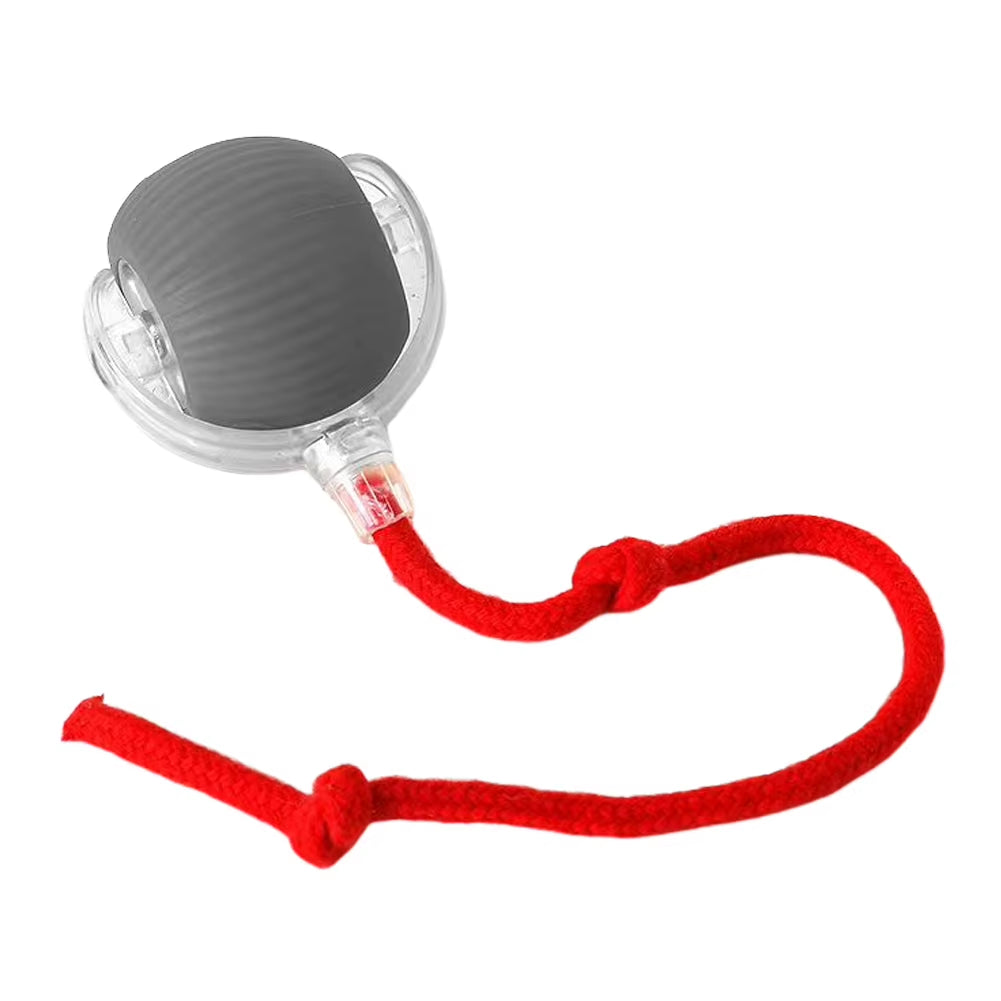 Automatic Rolling Plush Ball – Interactive Dog & Cat Toy