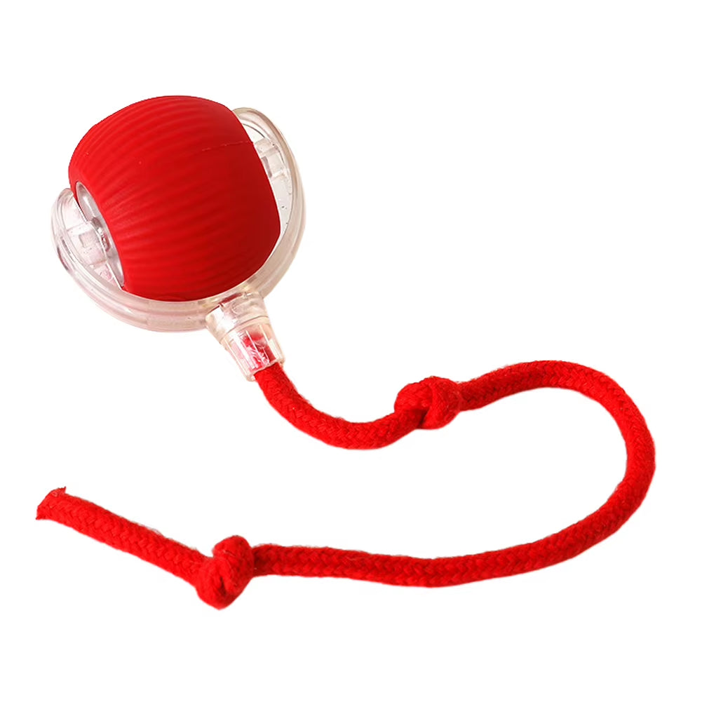 Automatic Rolling Plush Ball – Interactive Dog & Cat Toy